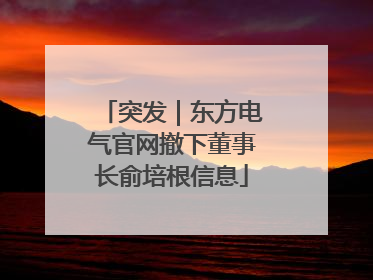突发｜东方电气官网撤下董事长俞培根信息
