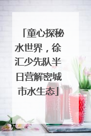 童心探秘水世界，徐汇少先队半日营解密城市水生态
