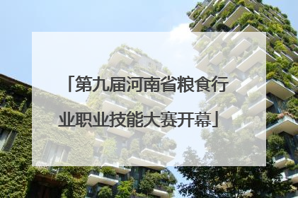 第九届河南省粮食行业职业技能大赛开幕