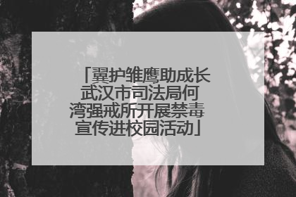 翼护雏鹰助成长 武汉市司法局何湾强戒所开展禁毒宣传进校园活动