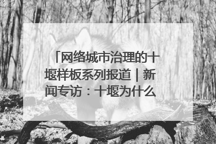 网络城市治理的十堰样板系列报道｜新闻专访：十堰为什么成为“黑马型”城市治理网络维度典型