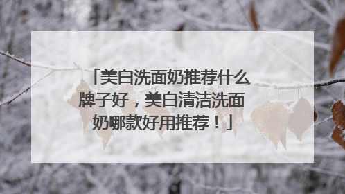 美白洗面奶推荐什么牌子好，美白清洁洗面奶哪款好用推荐！