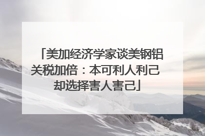 美加经济学家谈美钢铝关税加倍：本可利人利己 却选择害人害己