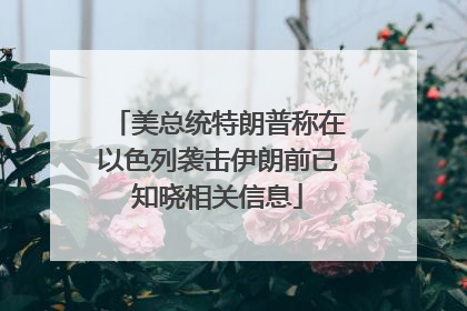 美总统特朗普称在以色列袭击伊朗前已知晓相关信息