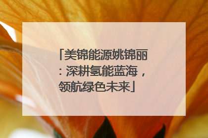 美锦能源姚锦丽：深耕氢能蓝海，领航绿色未来