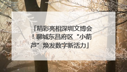 精彩亮相深圳文博会！聊城东昌府区“小葫芦”焕发数字新活力