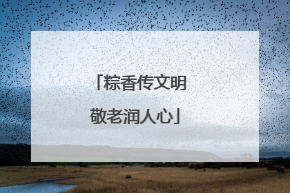 粽香传文明 敬老润人心