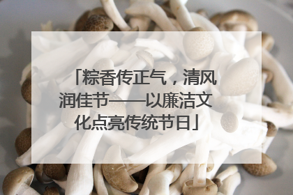 粽香传正气，清风润佳节——以廉洁文化点亮传统节日