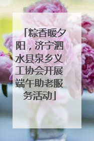 粽香暖夕阳，济宁泗水县泉乡义工协会开展端午助老服务活动
