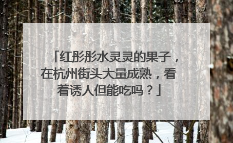 红彤彤水灵灵的果子，在杭州街头大量成熟，看着诱人但能吃吗？