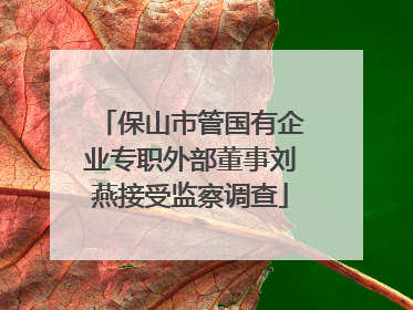 保山市管国有企业专职外部董事刘燕接受监察调查