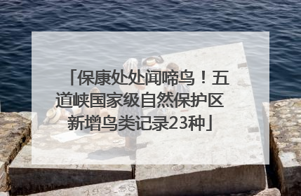 保康处处闻啼鸟！五道峡国家级自然保护区新增鸟类记录23种