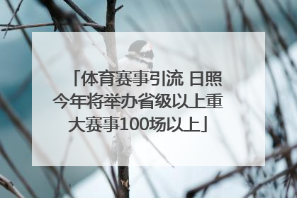 体育赛事引流 日照今年将举办省级以上重大赛事100场以上