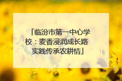 临汾市第一中心学校：麦香浸润成长路 实践传承农耕情