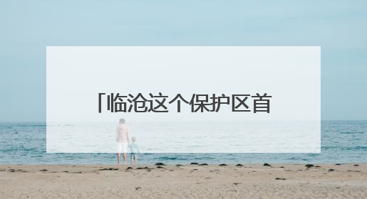 临沧这个保护区首次记录中国独有物种——黑顶蛙口夜鹰
