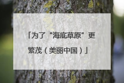 为了“海底草原”更繁茂（美丽中国）
