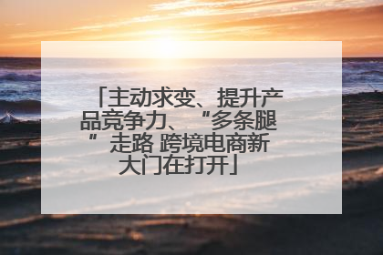 主动求变、提升产品竞争力、“多条腿”走路 跨境电商新大门在打开