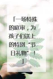 一场特殊的庭审，为孩子们送上的特别“节日礼物”！