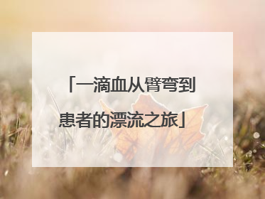 一滴血从臂弯到患者的漂流之旅