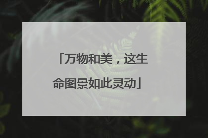 万物和美，这生命图景如此灵动