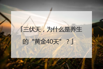 三伏天，为什么是养生的“黄金40天”？