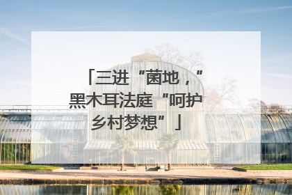 三进“菌地，”黑木耳法庭“呵护乡村梦想”