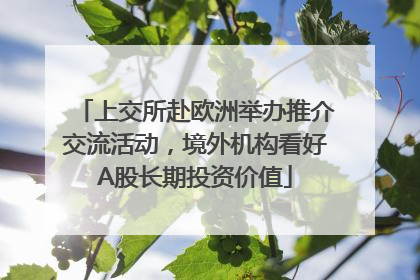 上交所赴欧洲举办推介交流活动，境外机构看好A股长期投资价值