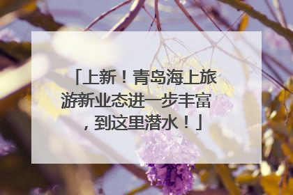 上新！青岛海上旅游新业态进一步丰富，到这里潜水！