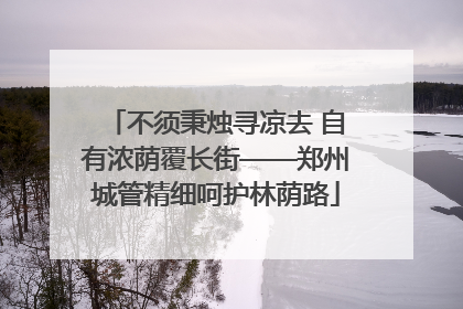 不须秉烛寻凉去 自有浓荫覆长街——郑州城管精细呵护林荫路