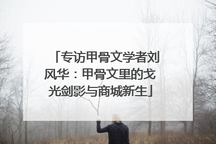 专访甲骨文学者刘风华：甲骨文里的戈光剑影与商城新生