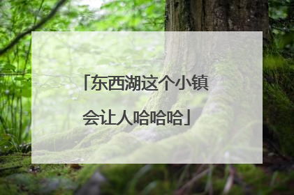东西湖这个小镇会让人哈哈哈