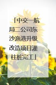 中交一航局二公司东沙渔港升级改造项目灌柱桩完工