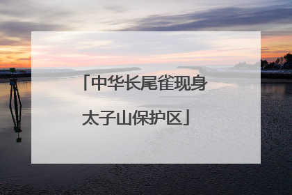 中华长尾雀现身太子山保护区