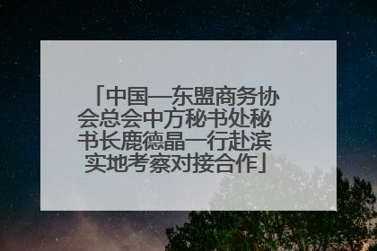 中国—东盟商务协会总会中方秘书处秘书长鹿德晶一行赴滨实地考察对接合作