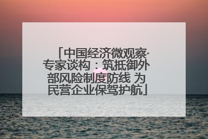 中国经济微观察·专家谈构：筑抵御外部风险制度防线 为民营企业保驾护航