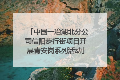 中国一冶湖北分公司信阳步行街项目开展青安岗系列活动