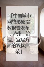 中国城市网络形象指数报告发布，泸州：治理、宜居方面的双优典范