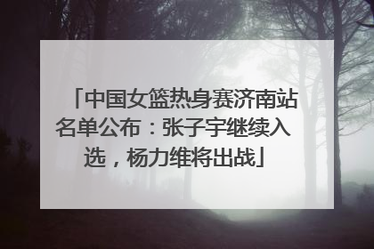 中国女篮热身赛济南站名单公布：张子宇继续入选，杨力维将出战