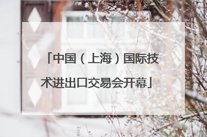 中国（上海）国际技术进出口交易会开幕