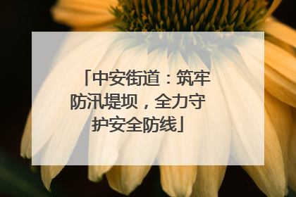 中安街道：筑牢防汛堤坝，全力守护安全防线