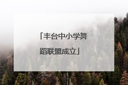 丰台中小学舞蹈联盟成立