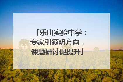 乐山实验中学：专家引领明方向，课题研讨促提升