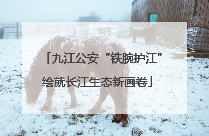 九江公安“铁腕护江”绘就长江生态新画卷