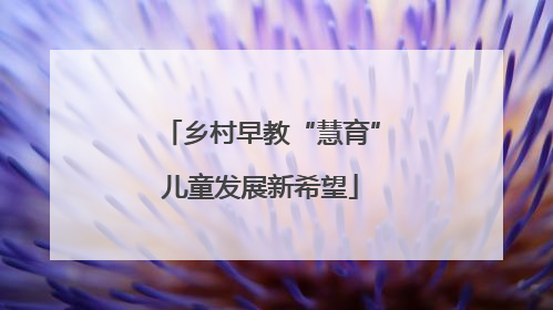 乡村早教“慧育”儿童发展新希望