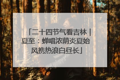 二十四节气看吉林｜夏至：蝉唱浓荫炎夏始 风携热浪白昼长