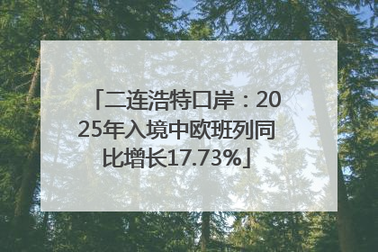 二连浩特口岸：2025年入境中欧班列同比增长17.73%