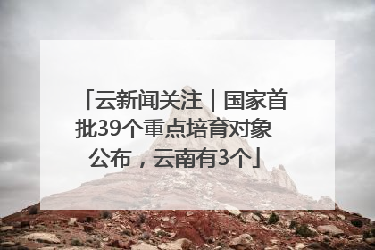 云新闻关注｜国家首批39个重点培育对象公布，云南有3个