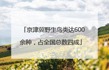 京津冀野生鸟类达600余种,占全国总数四成
