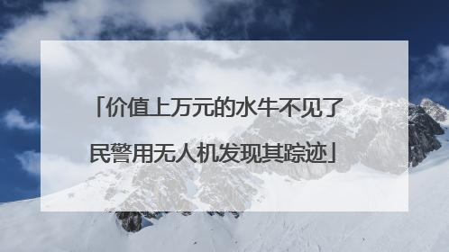价值上万元的水牛不见了 民警用无人机发现其踪迹