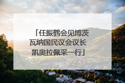 任振鹤会见博茨瓦纳国民议会议长凯奥拉佩采一行